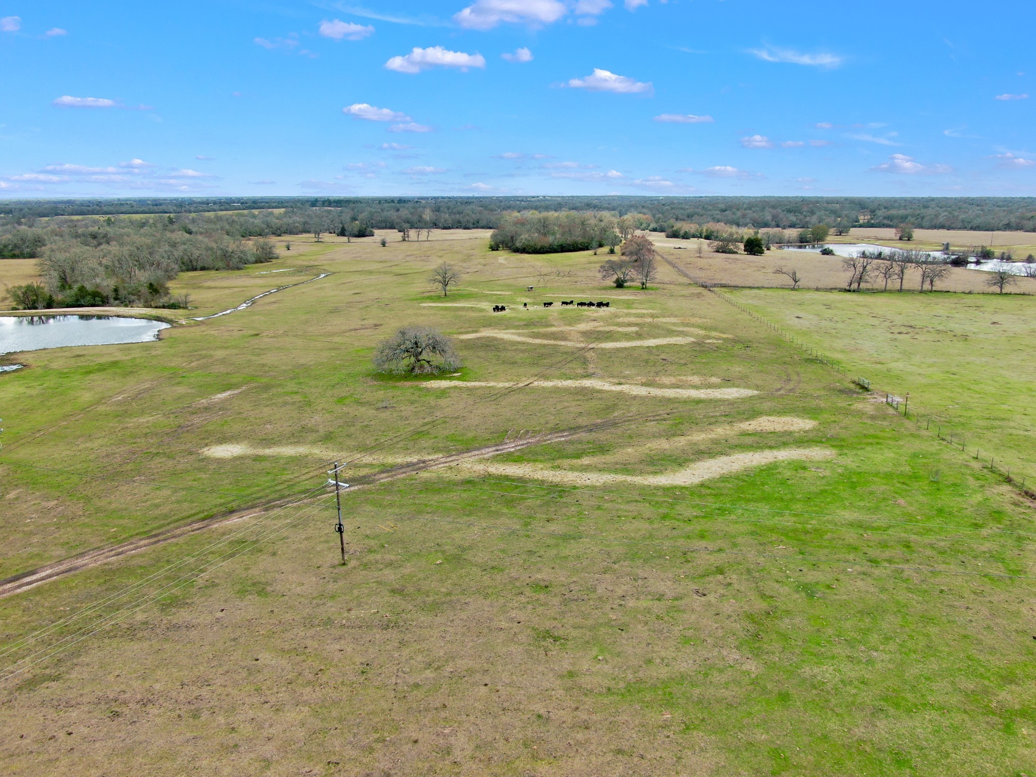 0 Pleasant Grove Road Iola, TX 77861 - Photo 9 of 17 a view of an ocean and beach