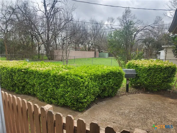 a view of a backyard with plants