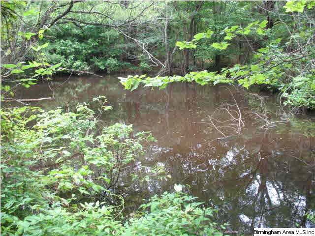 0 Rockcrusher Road, Unit 10 AC Steele, AL 35987 - Photo 3 of 8