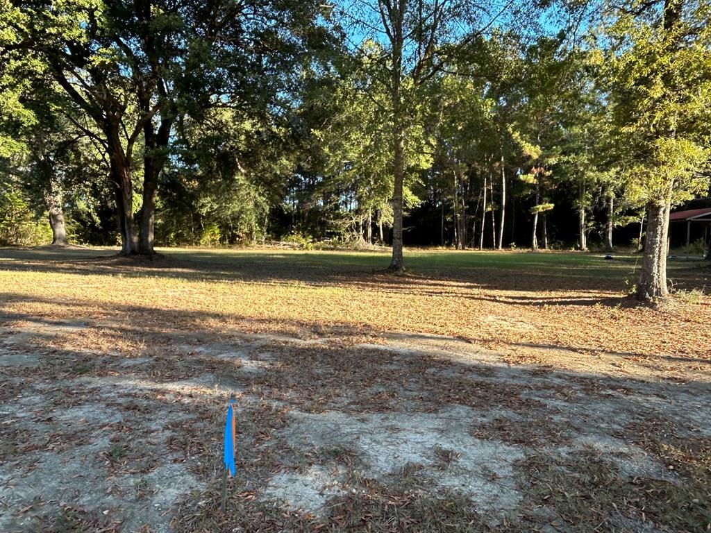 0 Hammock Road Carriere, MS 39426 - Photo 1 of 14 Main View