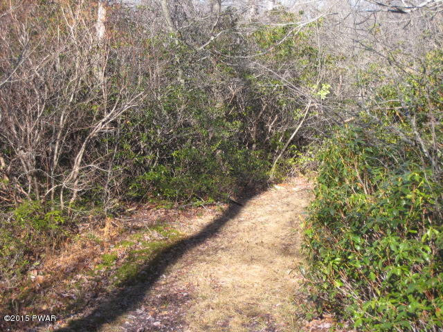 1050 Ravnikar Road Forest City, PA 18421 - Photo 13 of 28