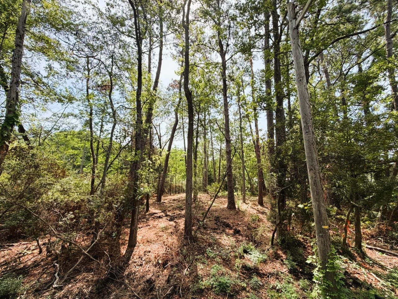 Tbd Oak Street Georgetown, SC 29440 - Photo 3 of 21