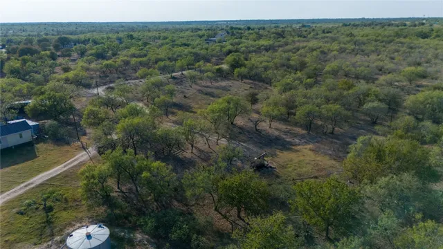 a view of a forest with a street