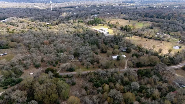 a view of a lake with a mountain and trees