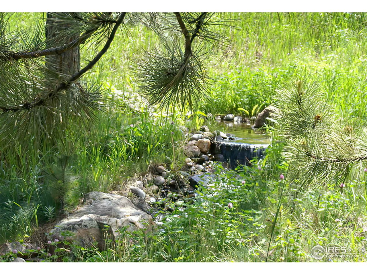 31 Rim Road Boulder, CO 80302 - Photo 32 of 40 Water feature