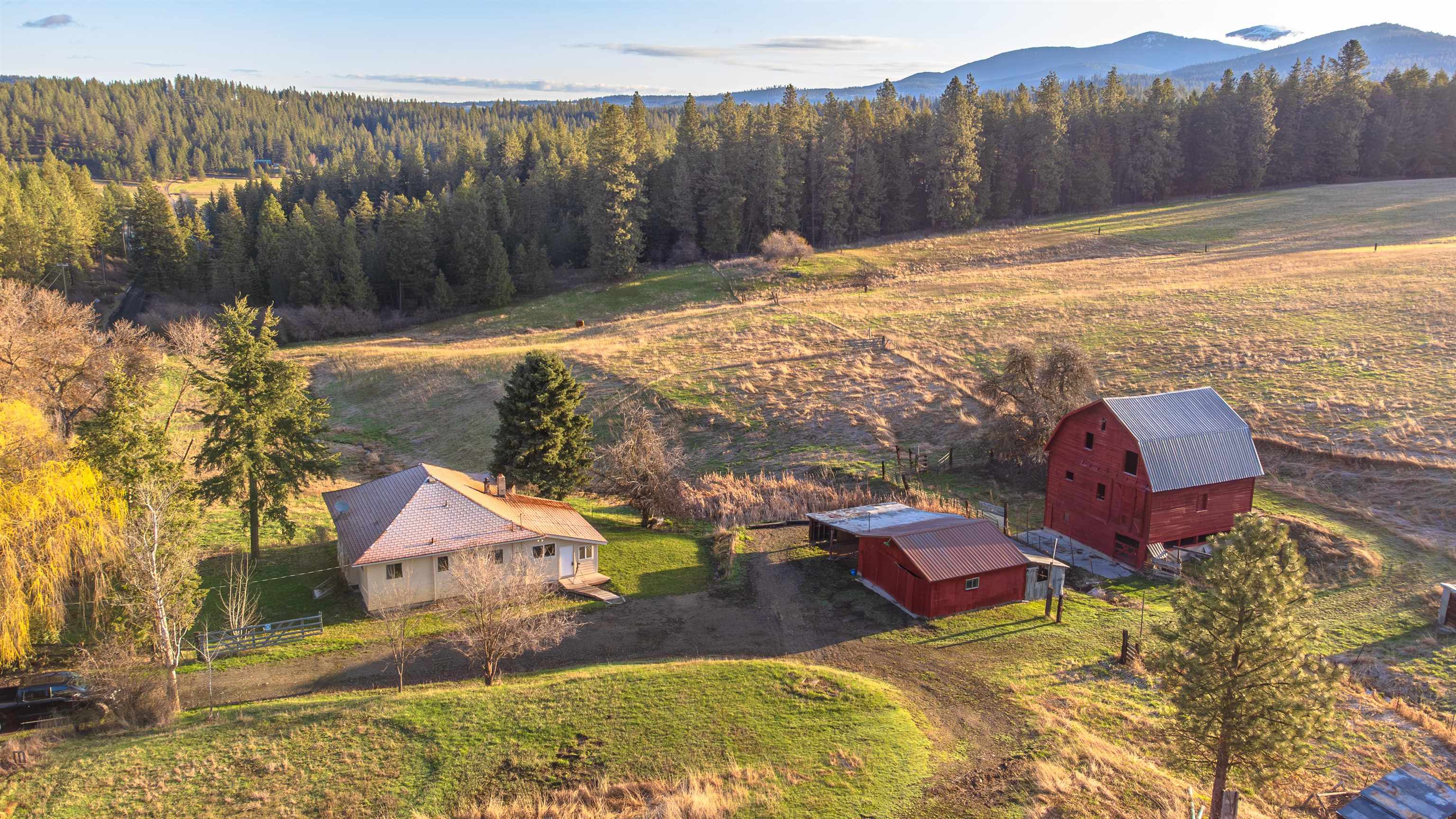 20016 North Sands Road Colbert, WA 99005 - Photo 3 of 47