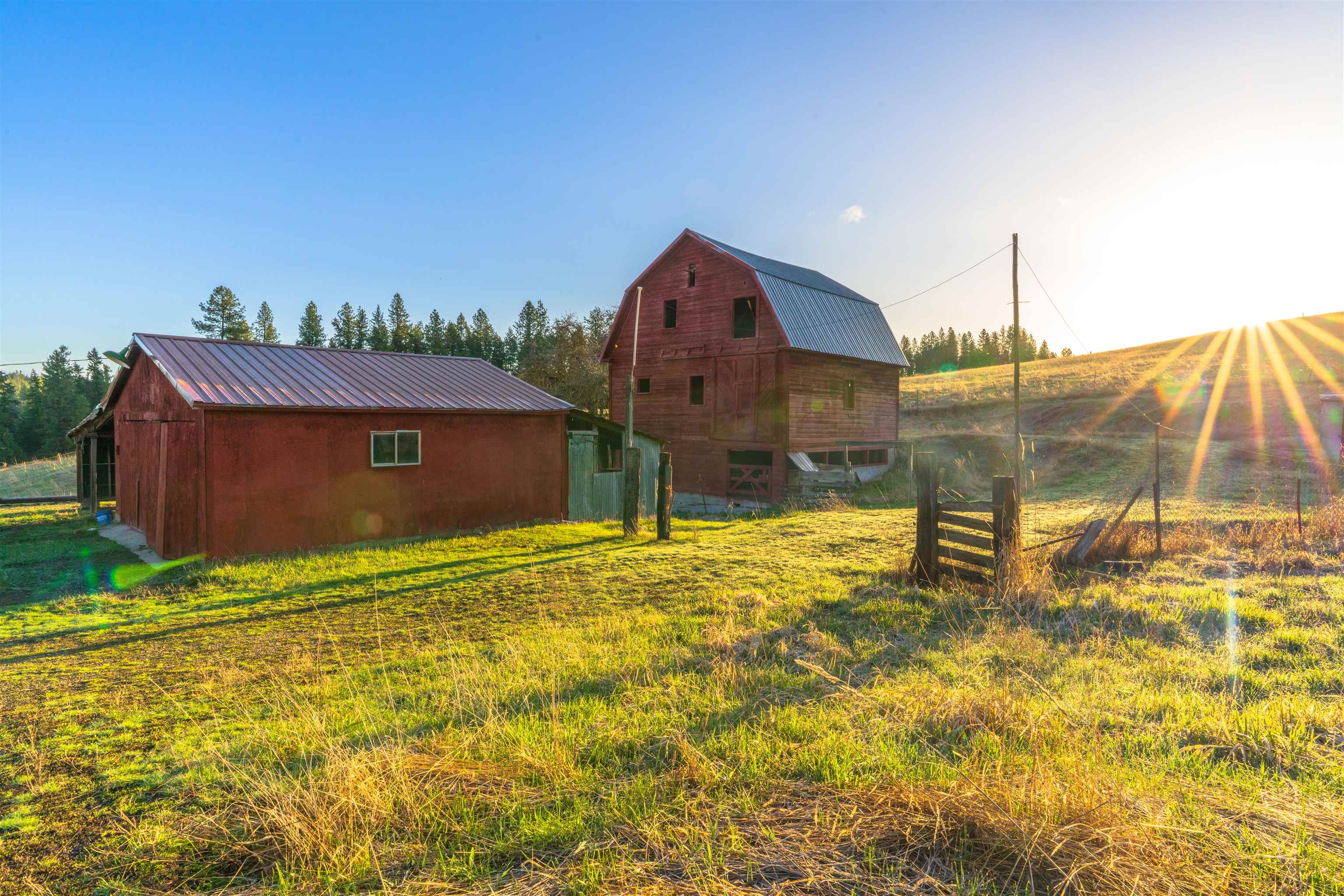 20016 North Sands Road Colbert, WA 99005 - Photo 31 of 47