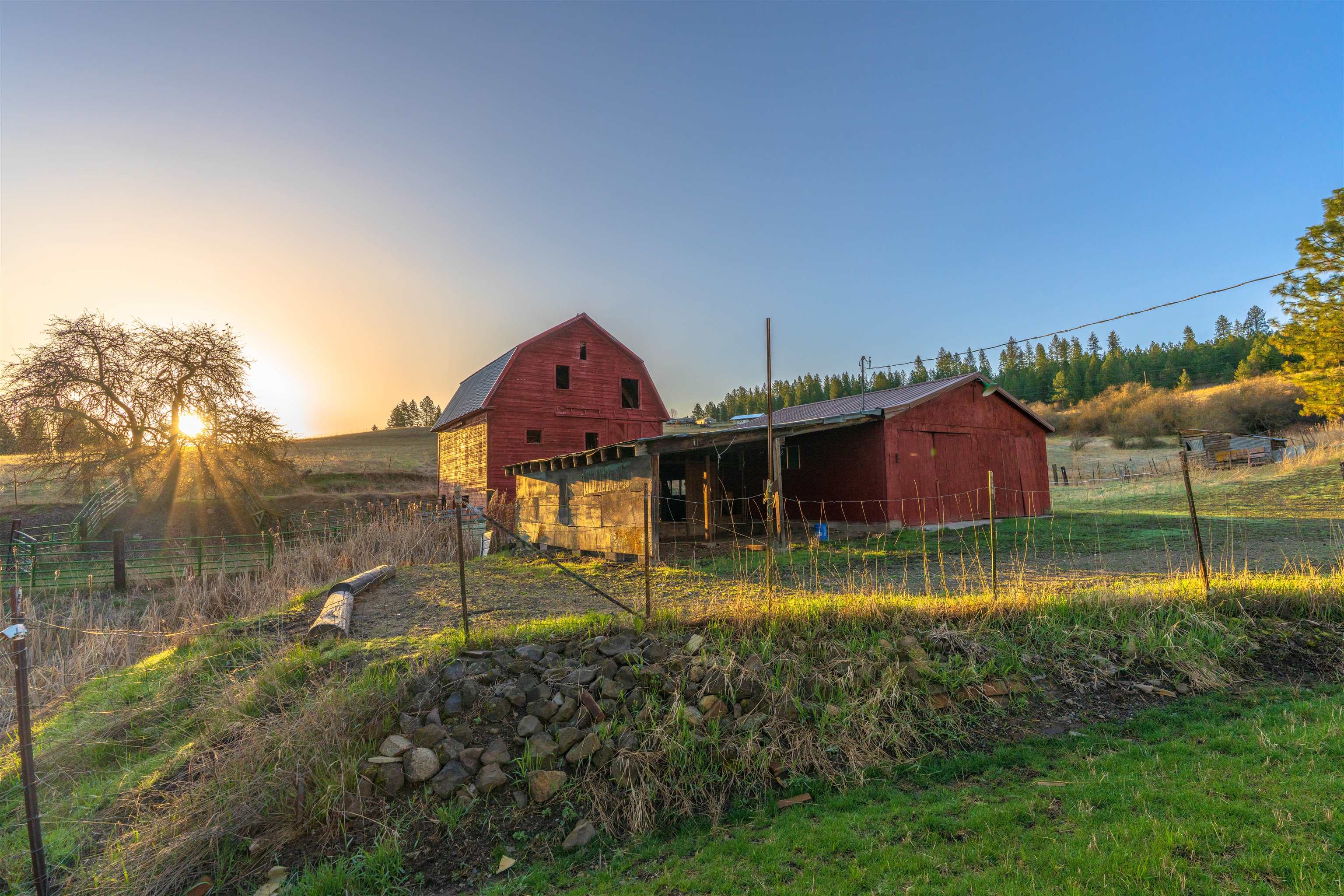 20016 North Sands Road Colbert, WA 99005 - Photo 34 of 50