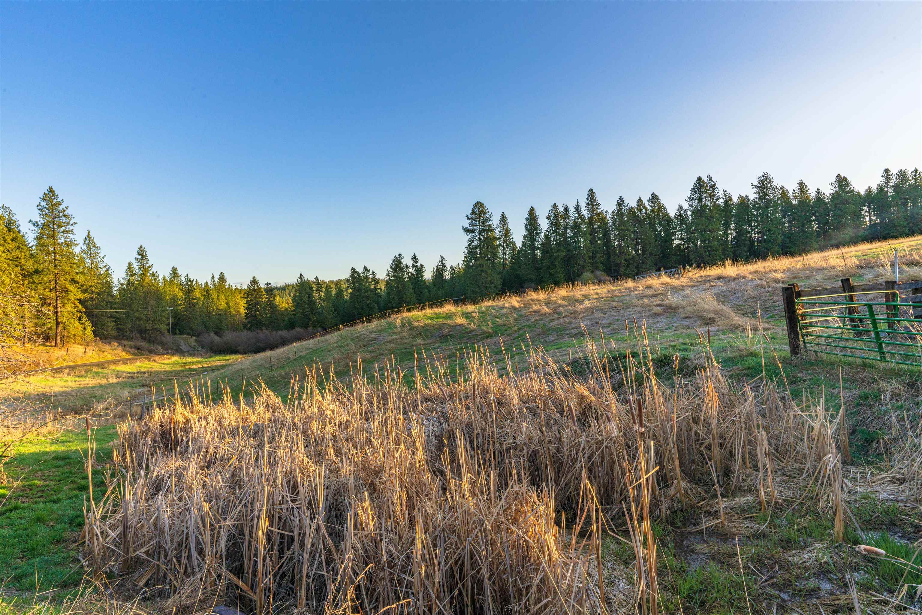 20016 North Sands Road Colbert, WA 99005 - Photo 40 of 50