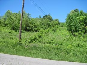 0 Charles Johnson Road Chuckey, TN 37641 - Photo 6 of 10 Photo 6