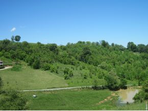 0 Charles Johnson Road Chuckey, TN 37641 - Photo 10 of 10 Photo 10