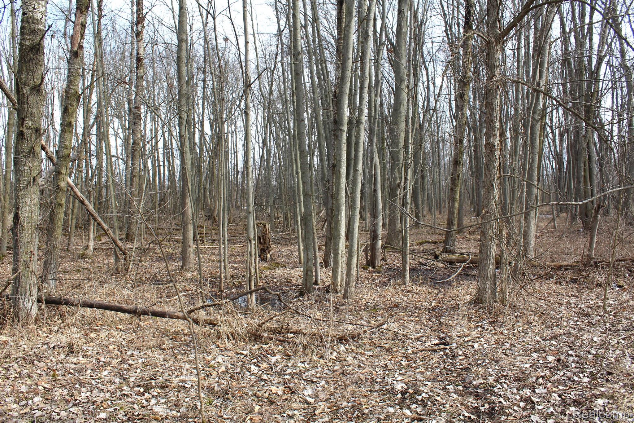 2550 Ducker Road North Branch, MI 48461 - Photo 51 of 64 Gallery Image 51