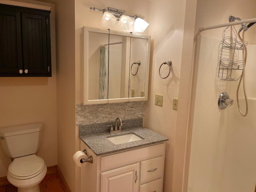 619 Point Lookout Road Cross Hill, SC 29332 - Photo 29 of 62 Gallery Image 29