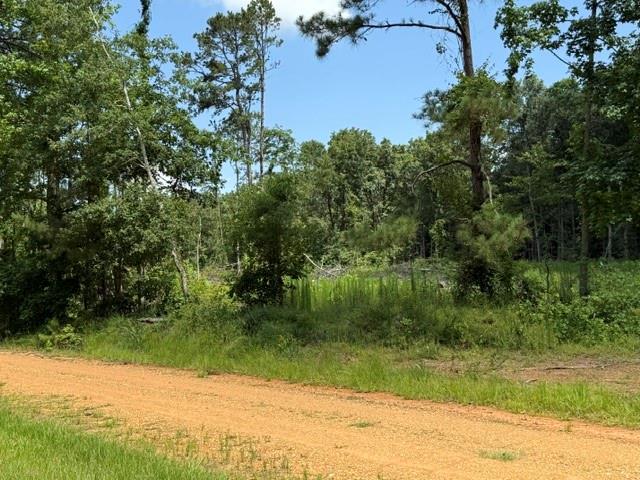 0 Marsalis Road Arcadia, LA 71001 - Photo 9 of 16