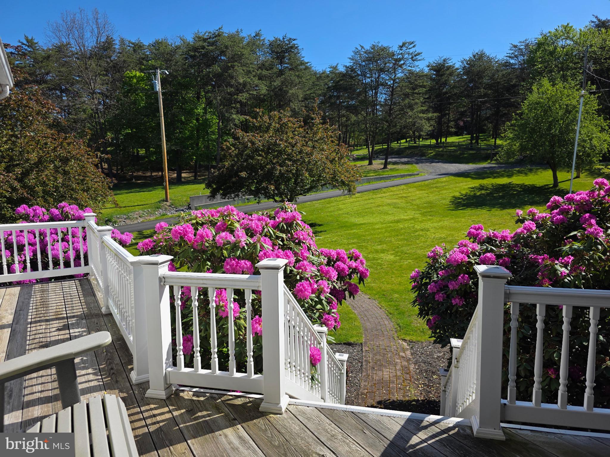 1538 Chess Club Road James Creek, PA 16657 - Photo 3 of 75