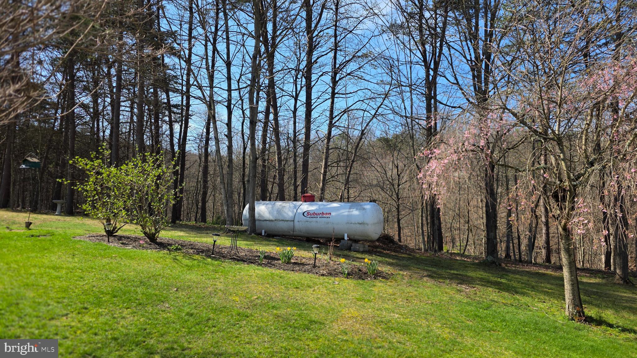 1538 Chess Club Road James Creek, PA 16657 - Photo 55 of 75