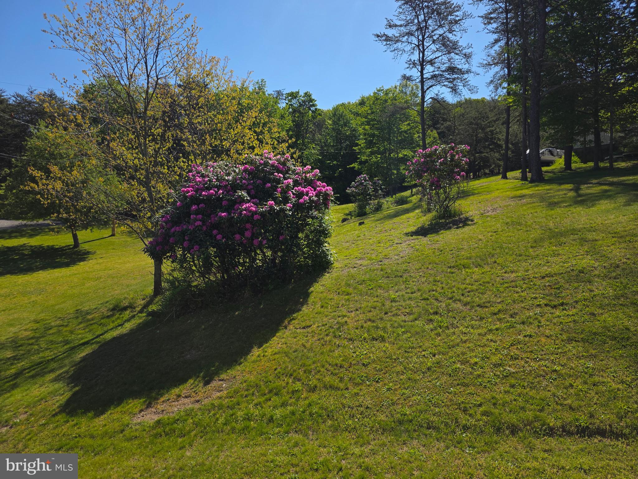 1538 Chess Club Road James Creek, PA 16657 - Photo 62 of 75
