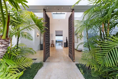 a view of a potted plants on a sidewalk