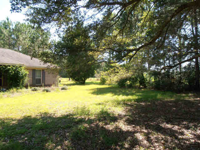 27244 Schoen Road Elberta, AL 36530 - Photo 1 of 25