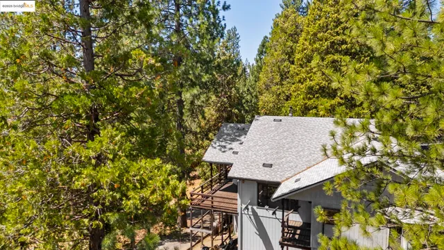 front view of a house with a tree