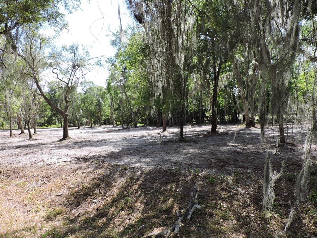 309 County Rd Crescent Georgetown, FL 32139 - Photo 2 of 9