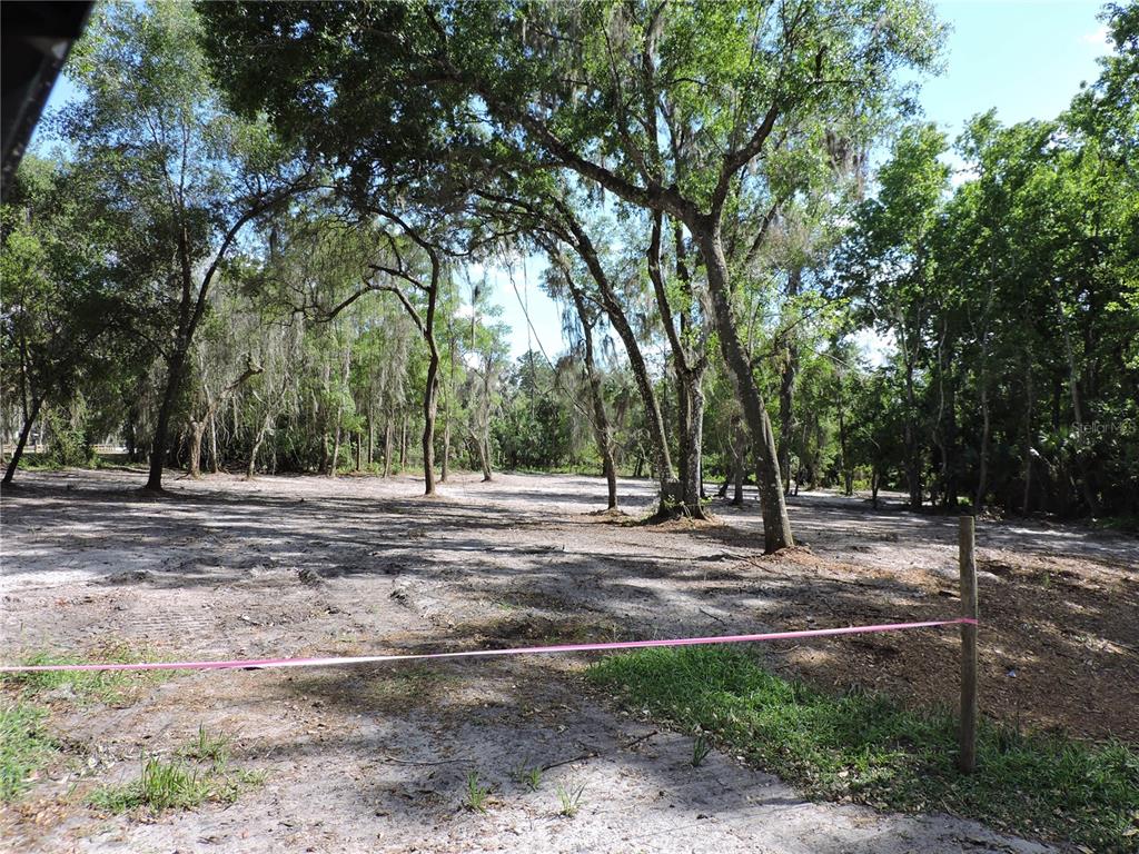 309 County Rd Crescent Georgetown, FL 32139 - Photo 3 of 9