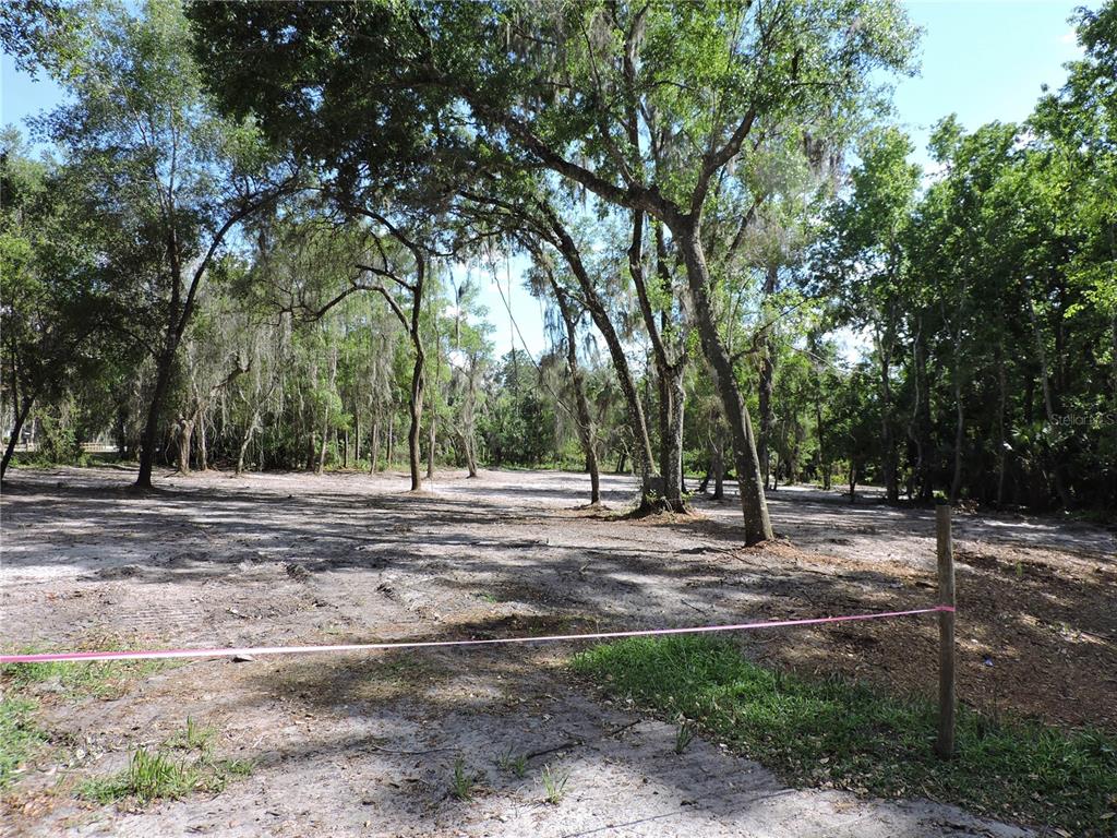 309 County Rd Crescent Georgetown, FL 32139 - Photo 4 of 9