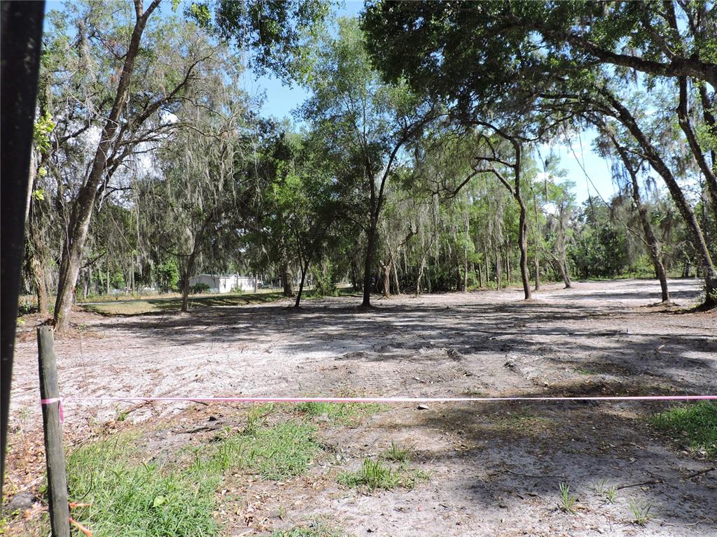 309 County Rd Crescent Georgetown, FL 32139 - Photo 5 of 9