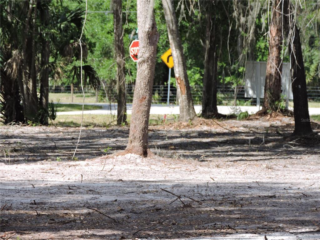 309 County Rd Crescent Georgetown, FL 32139 - Photo 7 of 9