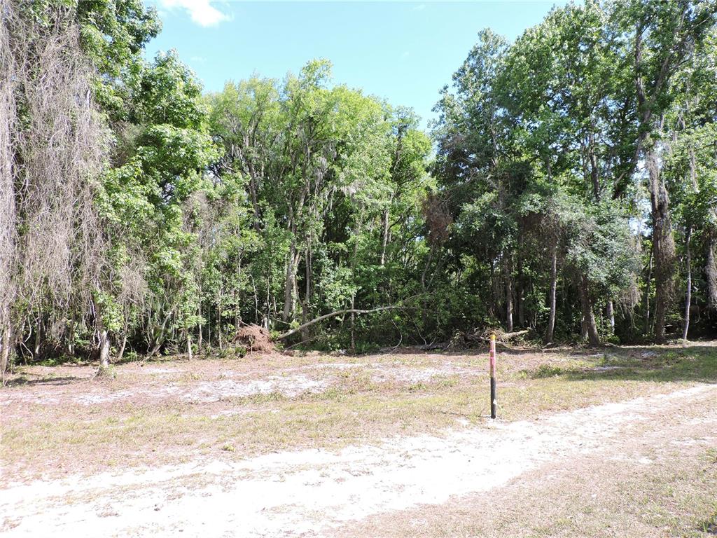 309 County Rd Crescent Georgetown, FL 32139 - Photo 8 of 9