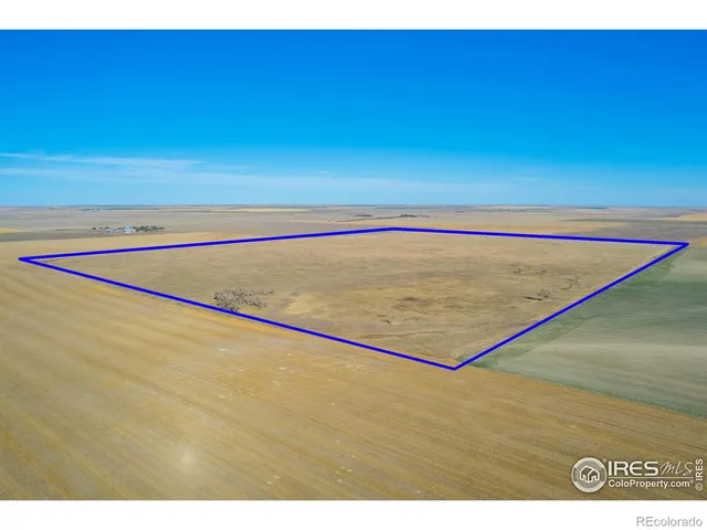 a view of an ocean beach