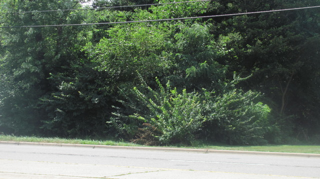 0 Main Street Lisle, IL 60532 - Photo 1 of 1 a view of a yard