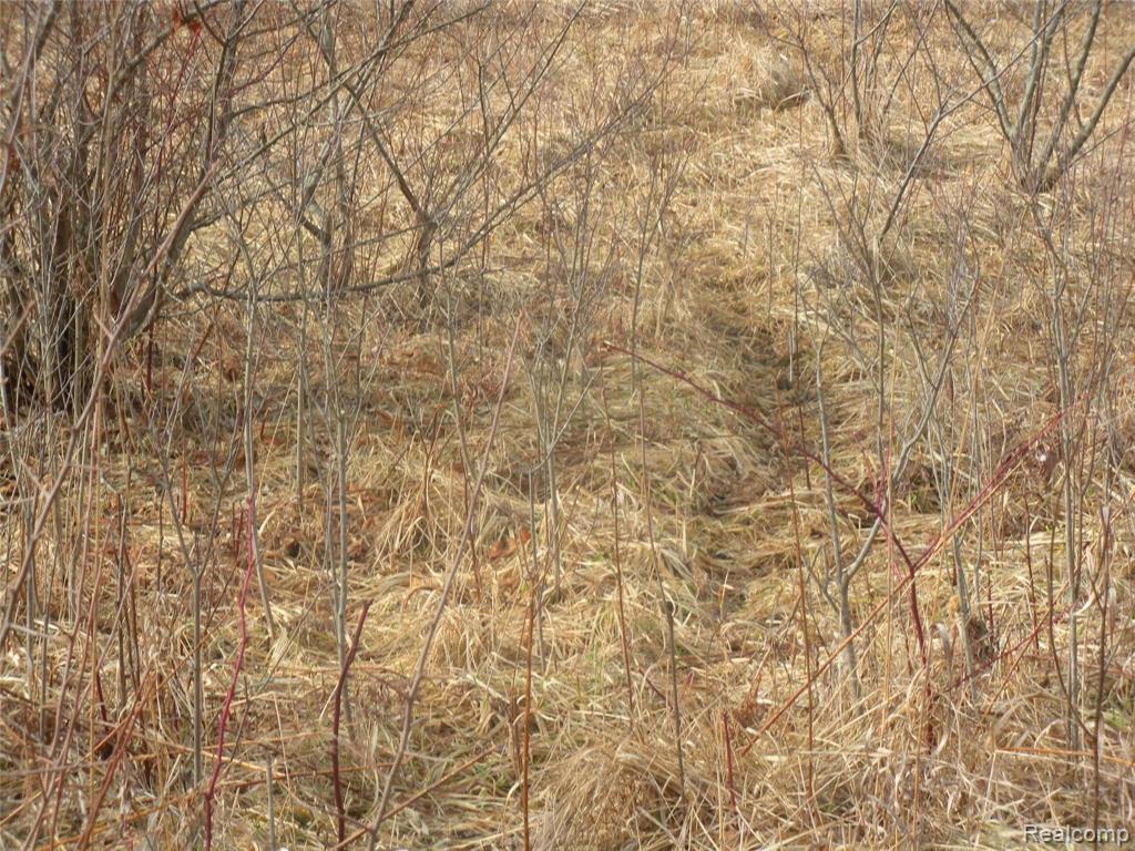 A & B A & B Rich Road Mayville, MI 48744 - Photo 8 of 14
