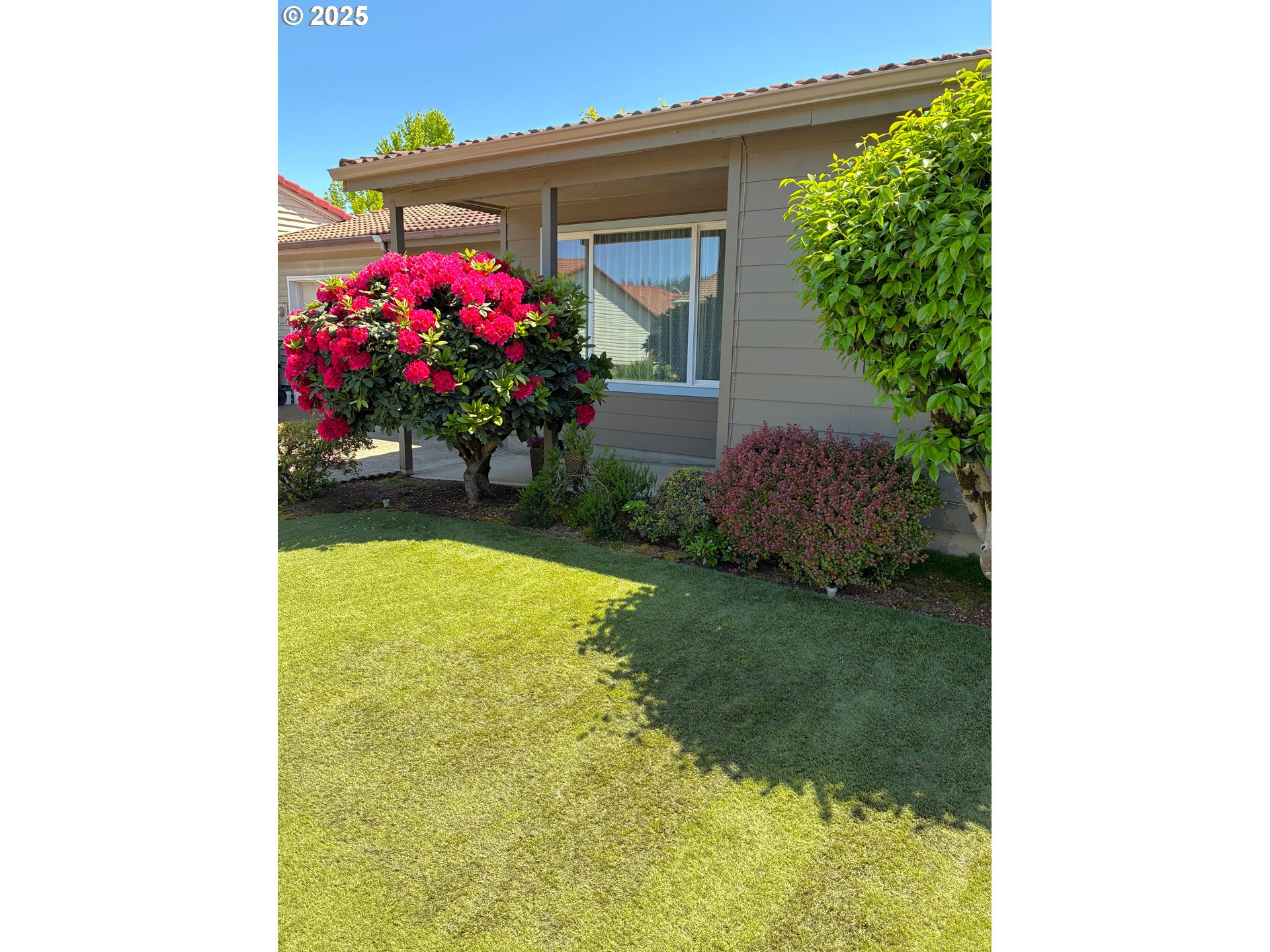 1609 Johnson Drive Newberg, OR 97132 - Photo 3 of 41