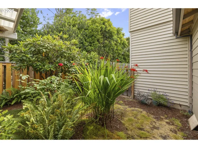 front view of a house and a yard