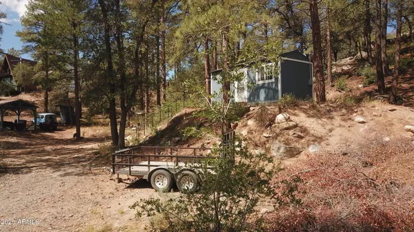 a view of outdoor space with large trees