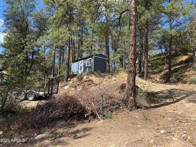 a view of a yard covered with trees
