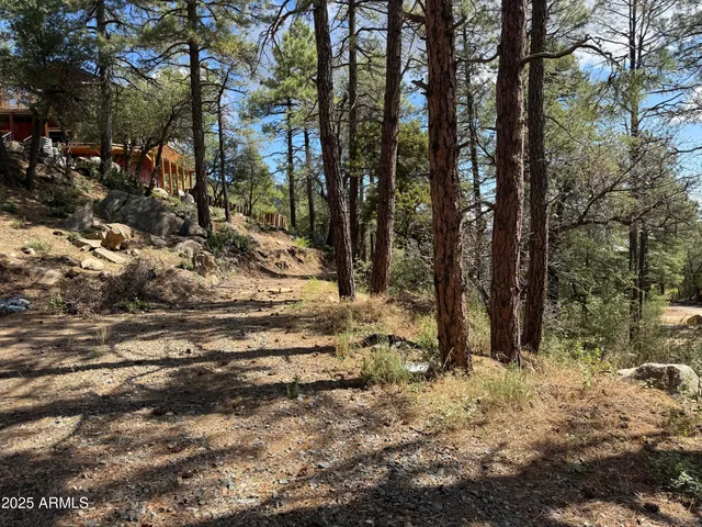 a view of a yard with trees
