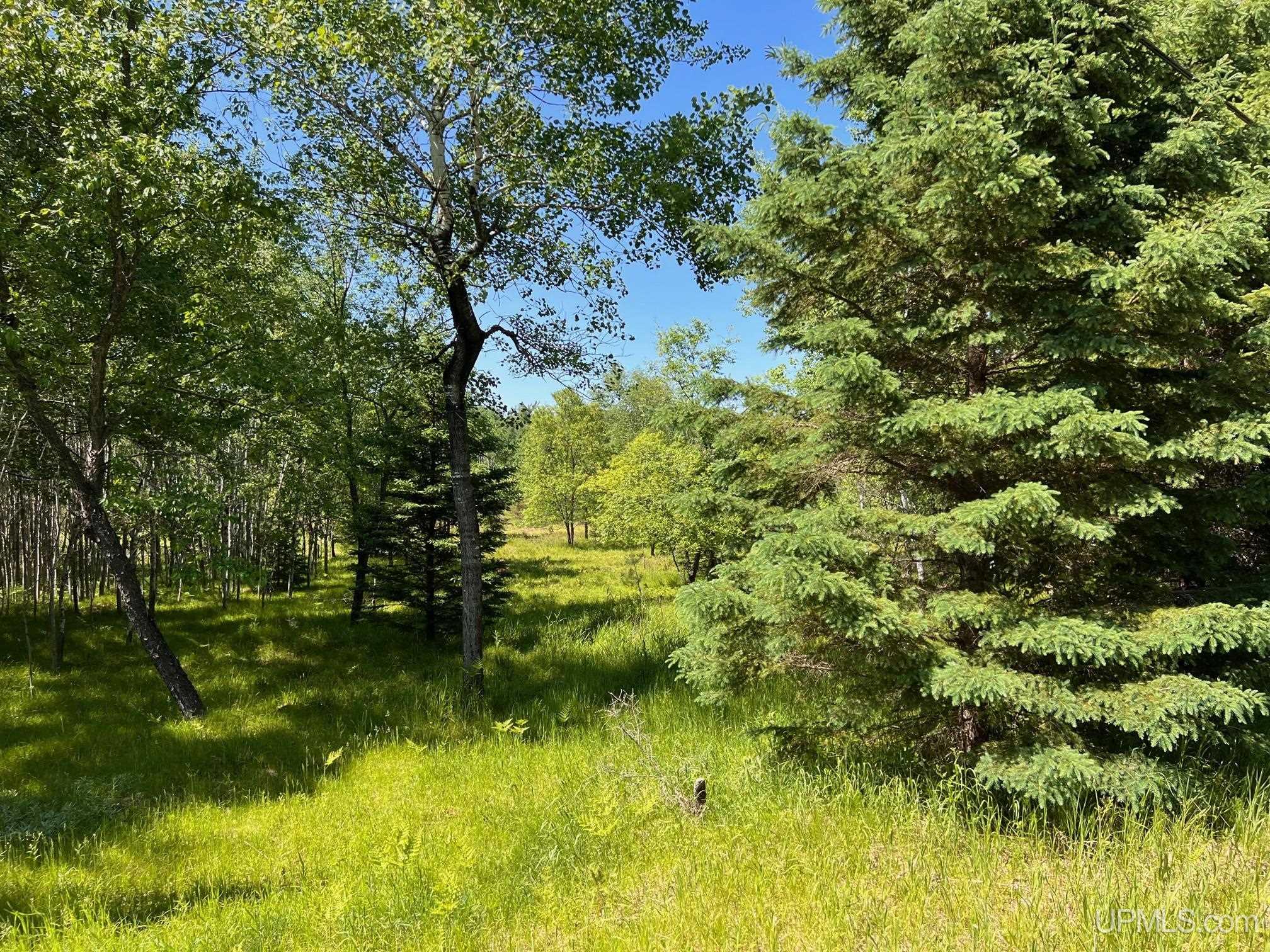 607 County 607 Road Iron Mountain, MI 49801 - Photo 4 of 4