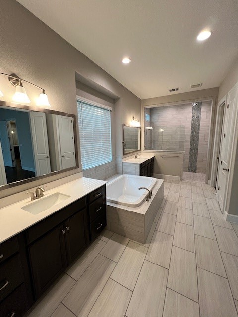 309 Buffalo Cave Road Georgetown, TX 78628 - Photo 12 of 22 a bathroom with a double vanity sink a large mirror and a bathtub