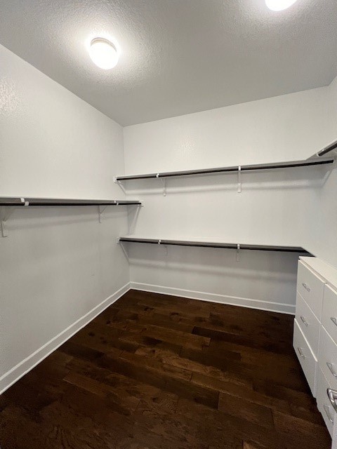 309 Buffalo Cave Road Georgetown, TX 78628 - Photo 14 of 22 a view of an empty walk in closet