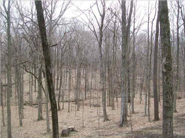 3656 Sailer Road Mount Vernon, IN 47620 - Photo 26 of 30 Gallery Image 26