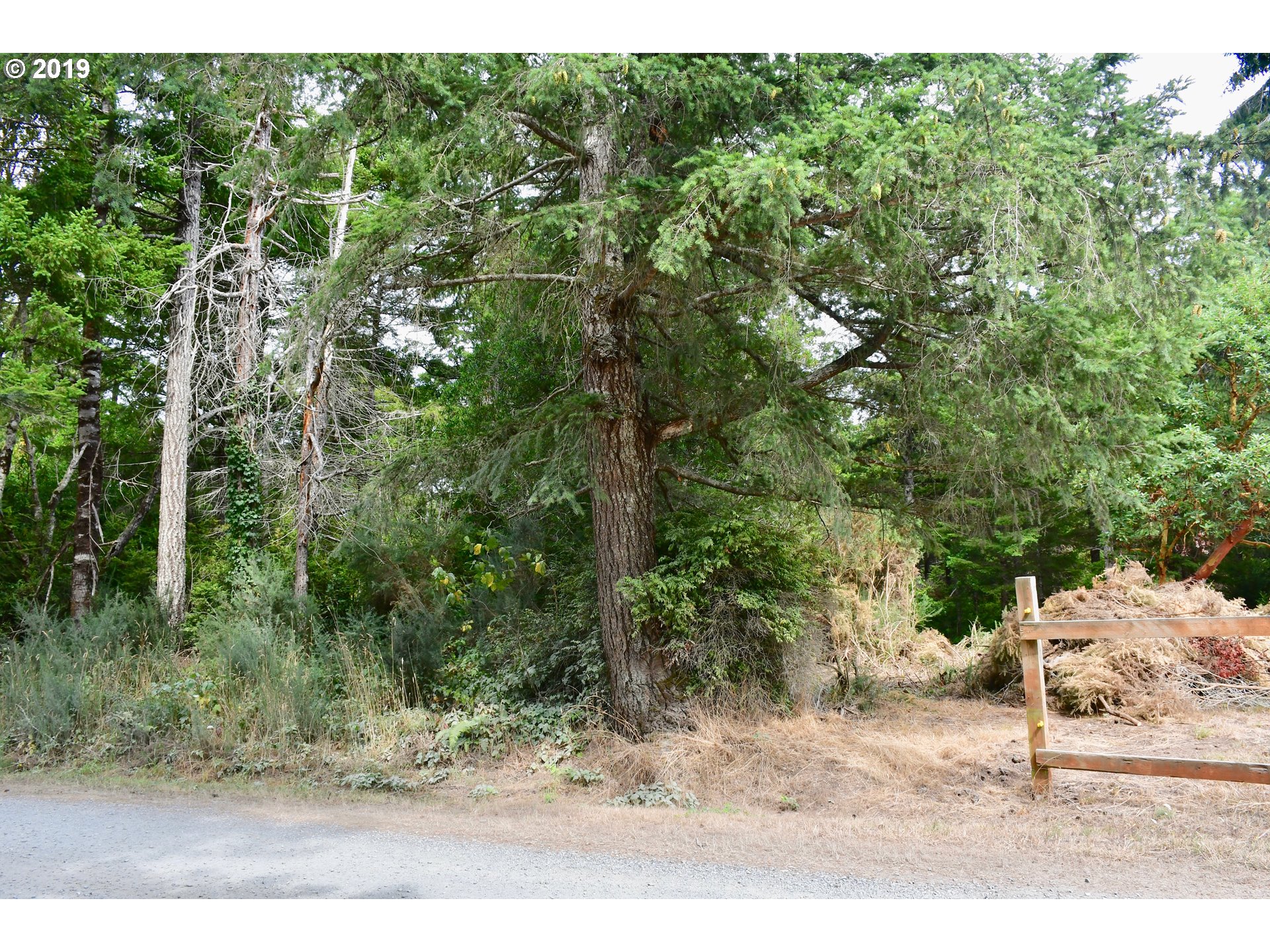 87829 Two Mile Lane Bandon, OR 97411 - Photo 20 of 27
