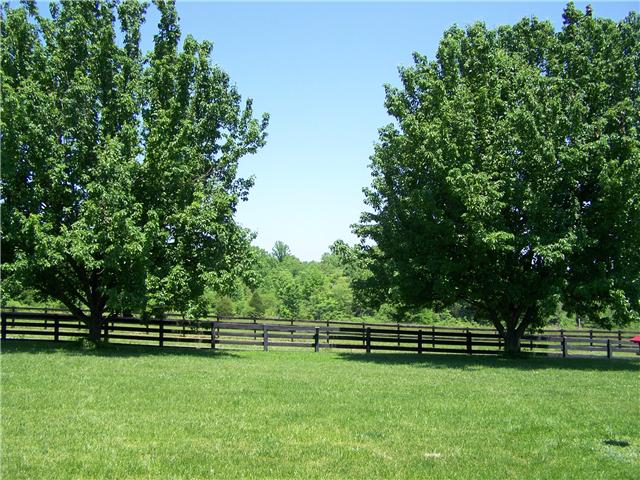 5902 Parham Road Franklin, TN 37064 - Photo 3 of 20 a view of a park