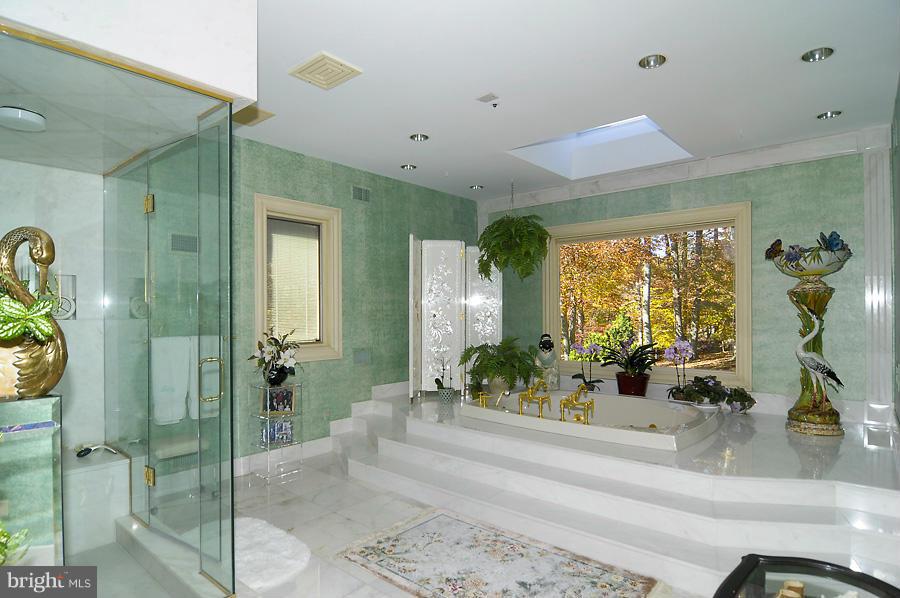 10008 Bentcross Drive Potomac, MD 20854 - Photo 11 of 26 Bath (Master)