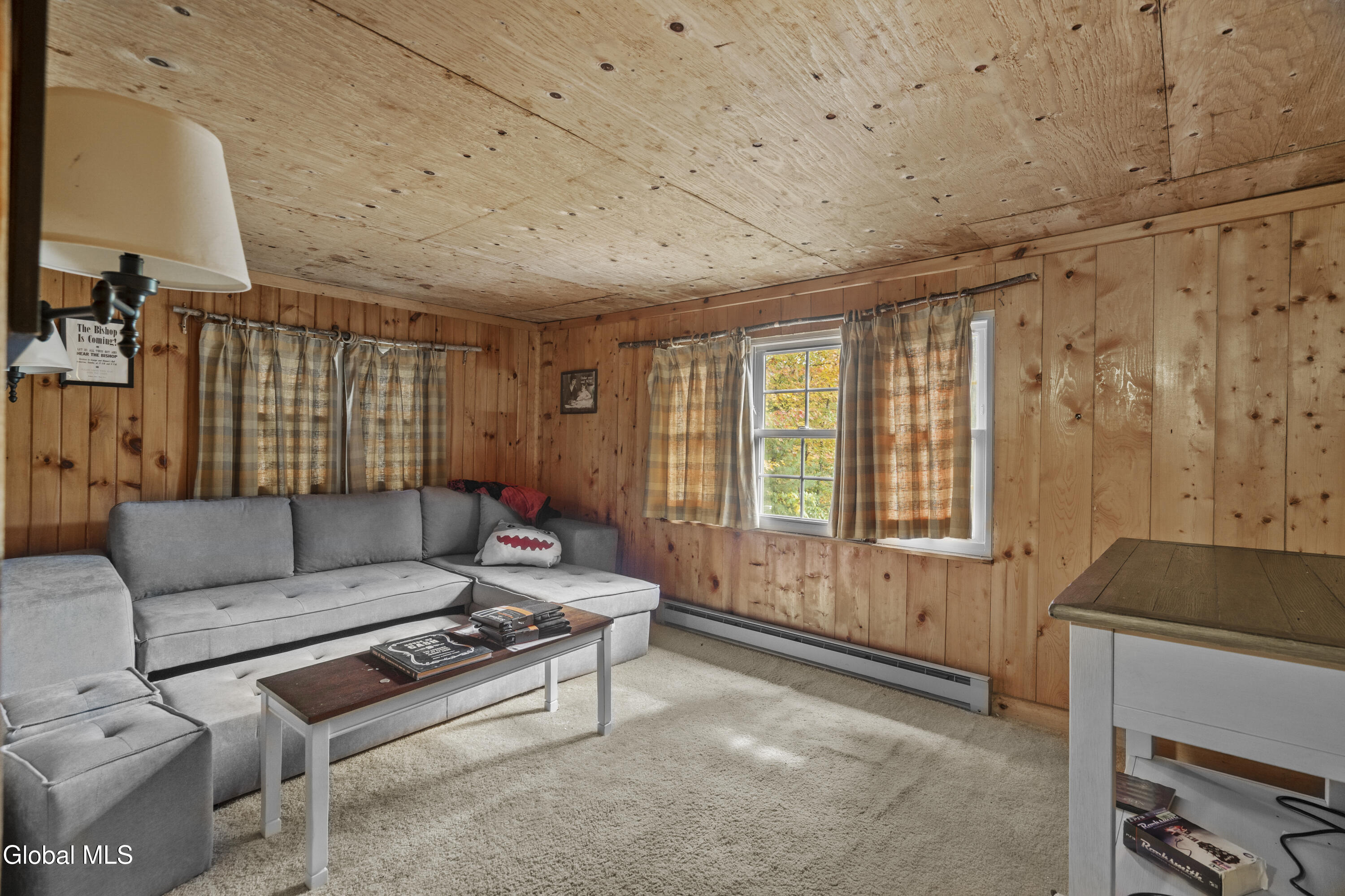 135 John Brannon Road Minerva, NY 12851 - Photo 23 of 28 DSC05197