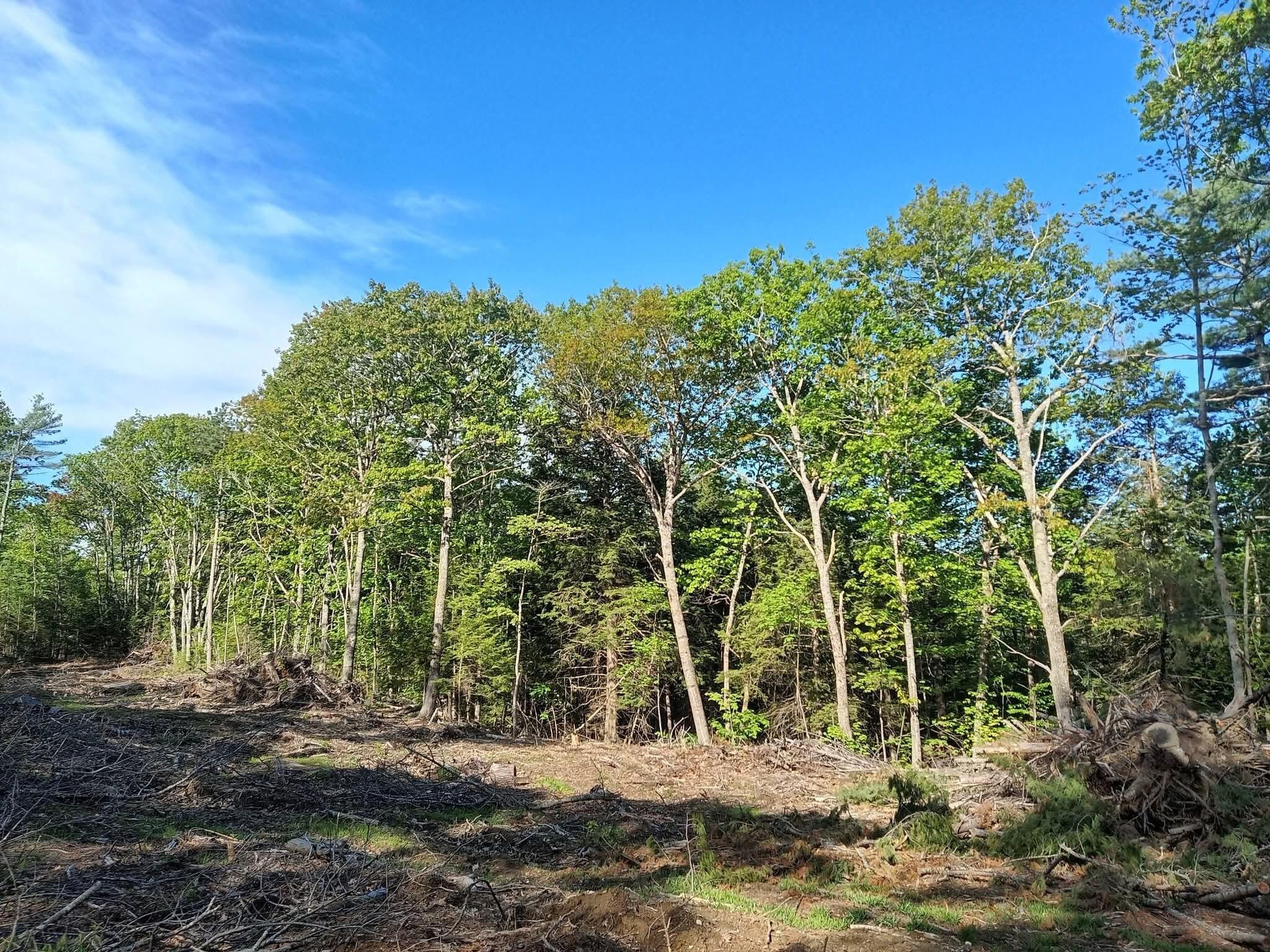 5-009 Ridge School Road, Unit 5009A Liberty, ME 04949 - Photo 2 of 5 1000002111