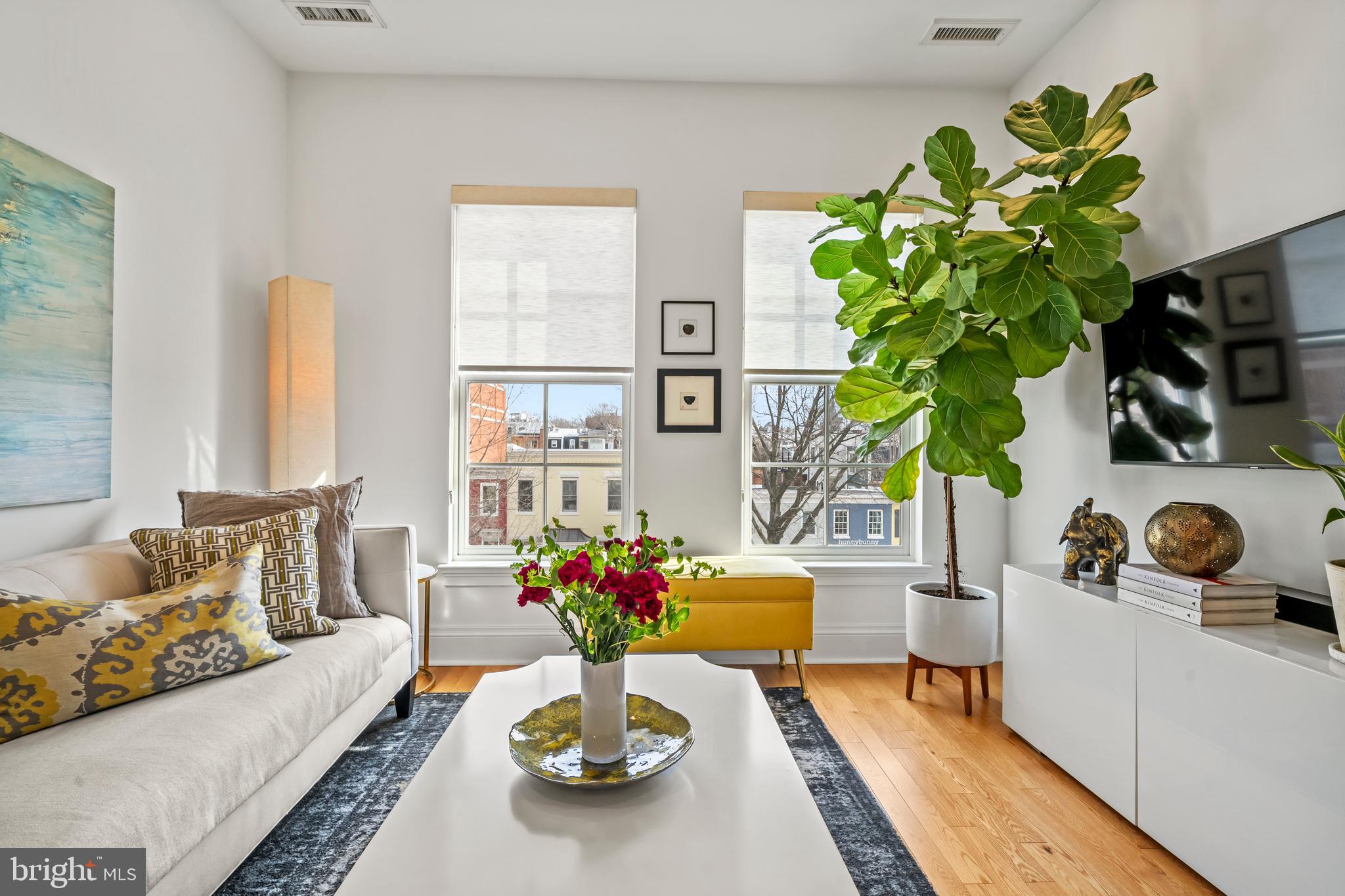 300 8th Street Northeast, Unit 307 Washington, DC 20002 - Photo 12 of 36 a living room filled with furniture and a potted plant