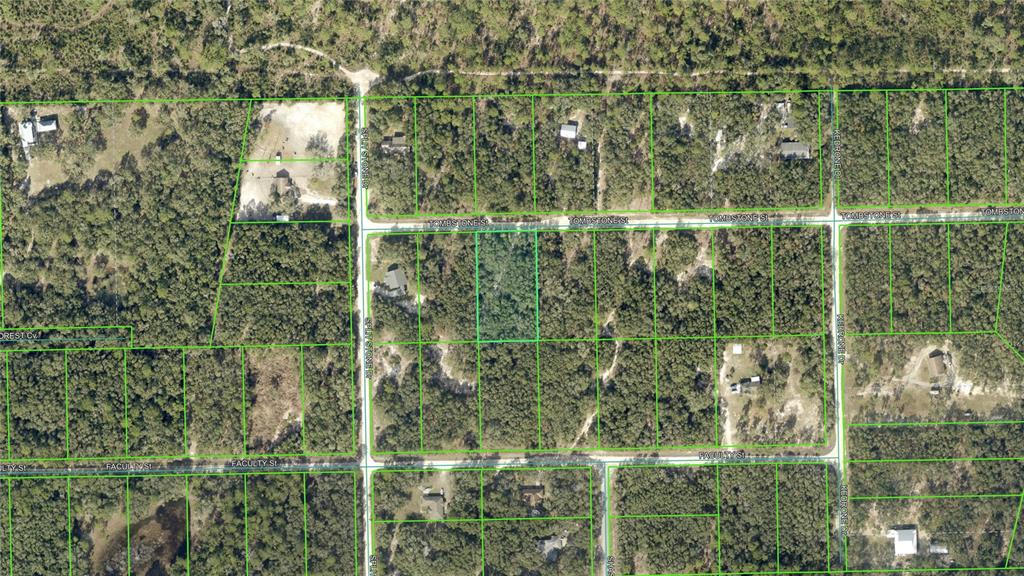 33174 Tombstone Street Webster, FL 33597 - Photo 4 of 8