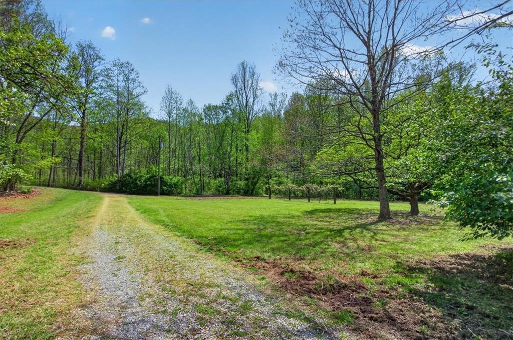0 Grandview Road Jasper, GA 30143 - Photo 3 of 14